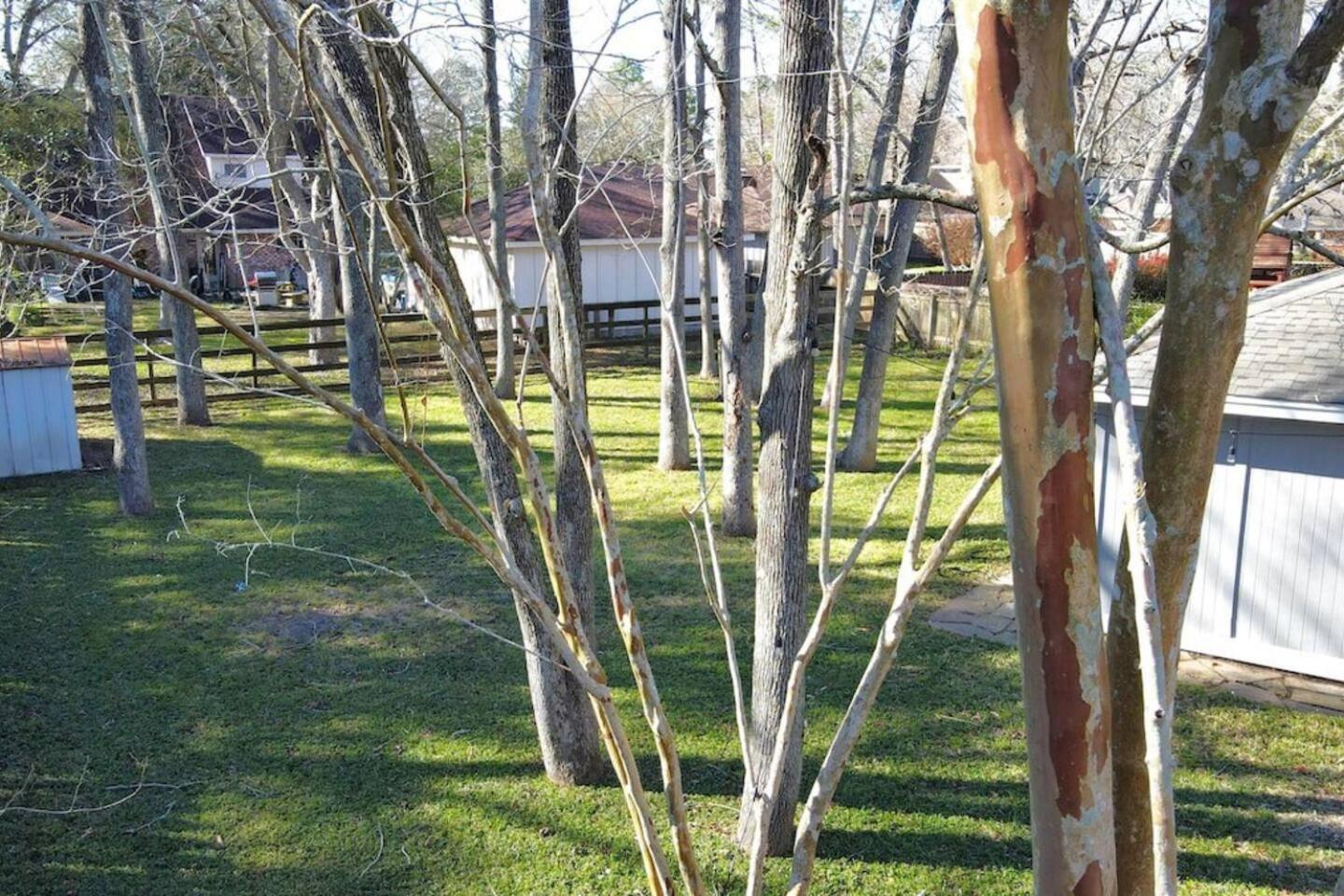 Sunmeadow Manor Retreat Villa Friendswood Buitenkant foto